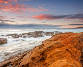 an ocean of emotion