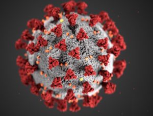 Covid 19 Coronovirus