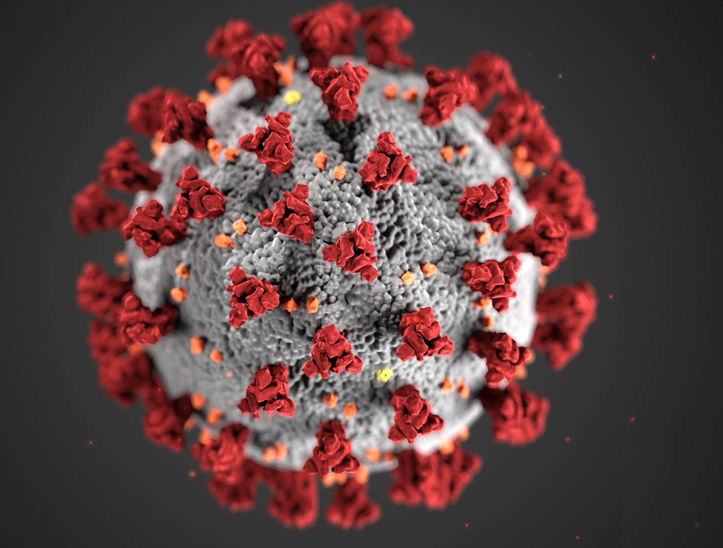 Coronovirus